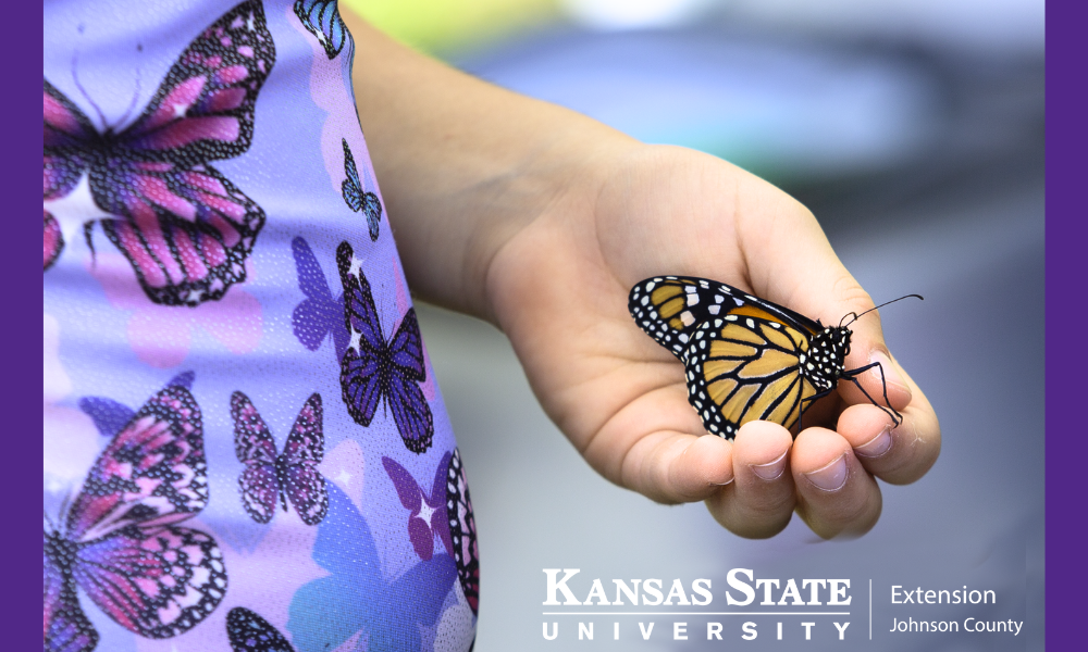 Free Family Event: Hasta Luego Monarchs Returns September 26