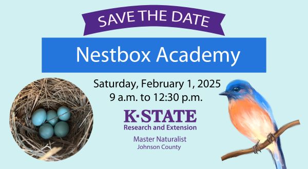 Nestbox Academy graphic