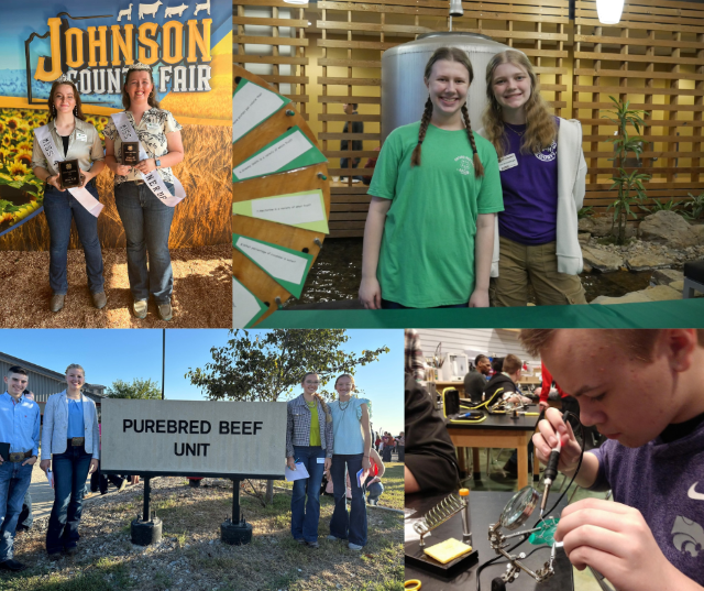 4-H collage