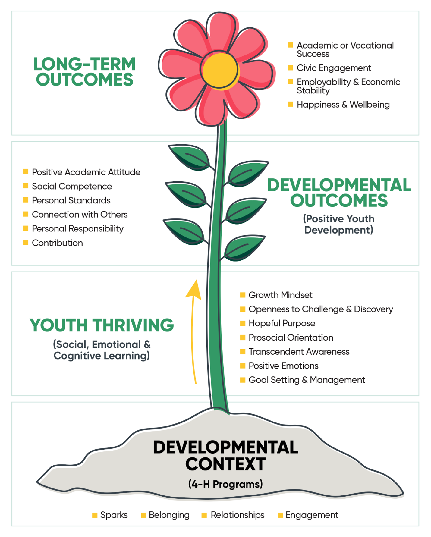 4-h developmental priincples