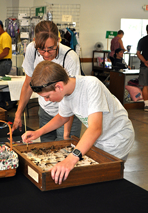 4-H youth prepares entomology box