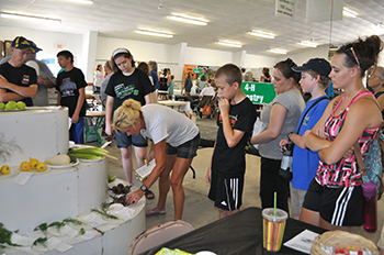 Judging plant science exhibits at the county fair