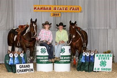 state fair awards and horses