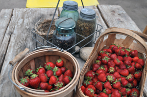 Baskets of strawberries