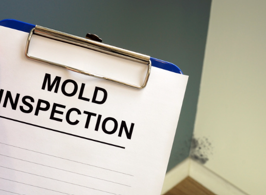 mold