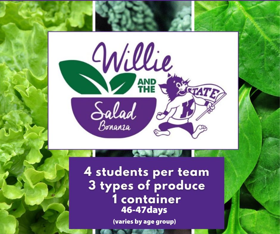 Willie and the Salad Bonanza 2025