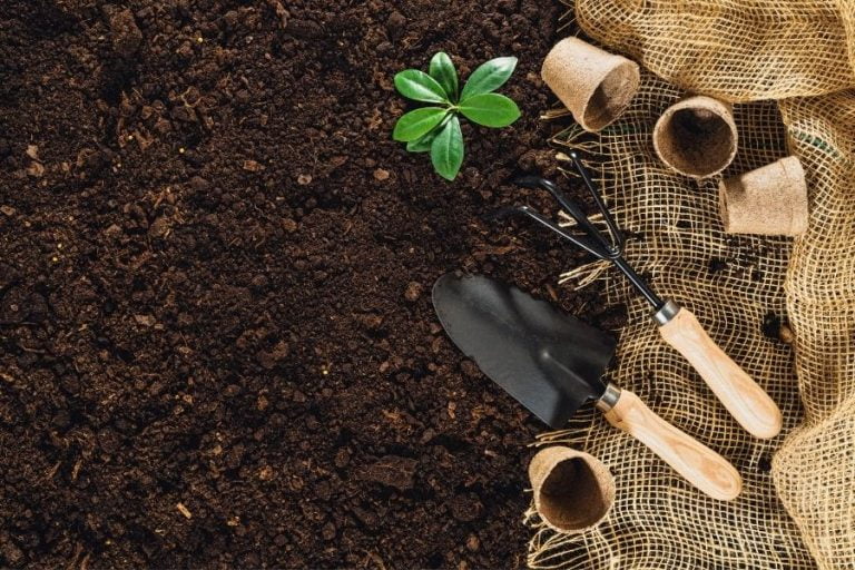 Soil garden prep