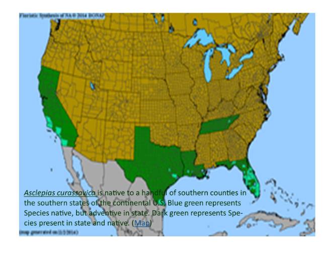 Tropical milkweed map