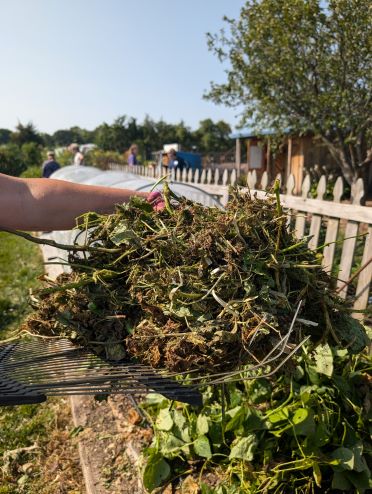 garden debris for composting 