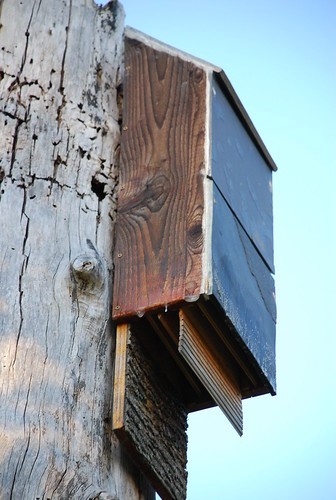 bat house