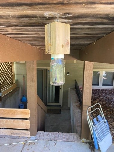 Carpenter Bee Trap