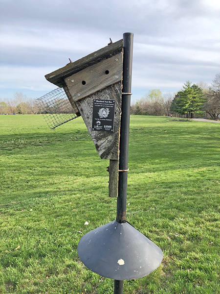 bluebird house