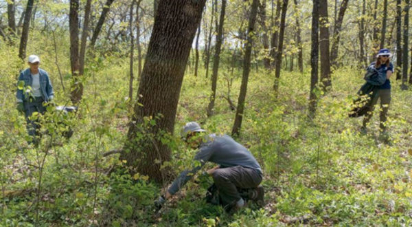 land stewardship