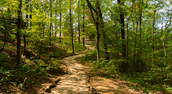 Nature Trails