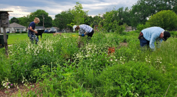 Pollinator Prairie