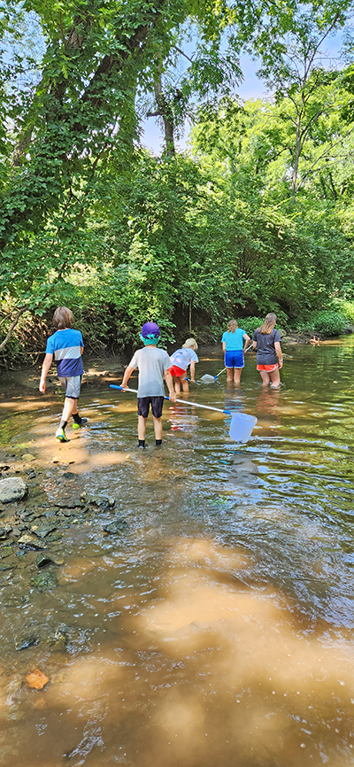 people in a stream exploring